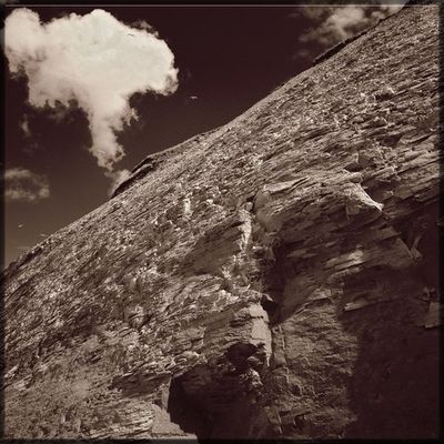 Die Möven sind echt