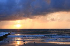 Die Möwen erwarten das Unwetter