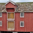 Die Möwen in Rørvik haben den ganzen Hafen besiedelt.