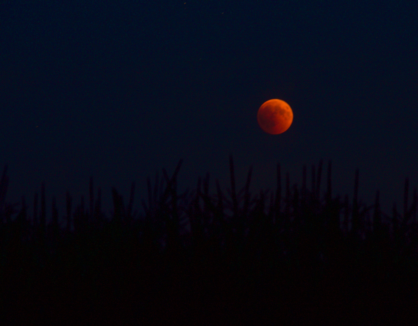 Die Mondfinsternis im Juli 2018