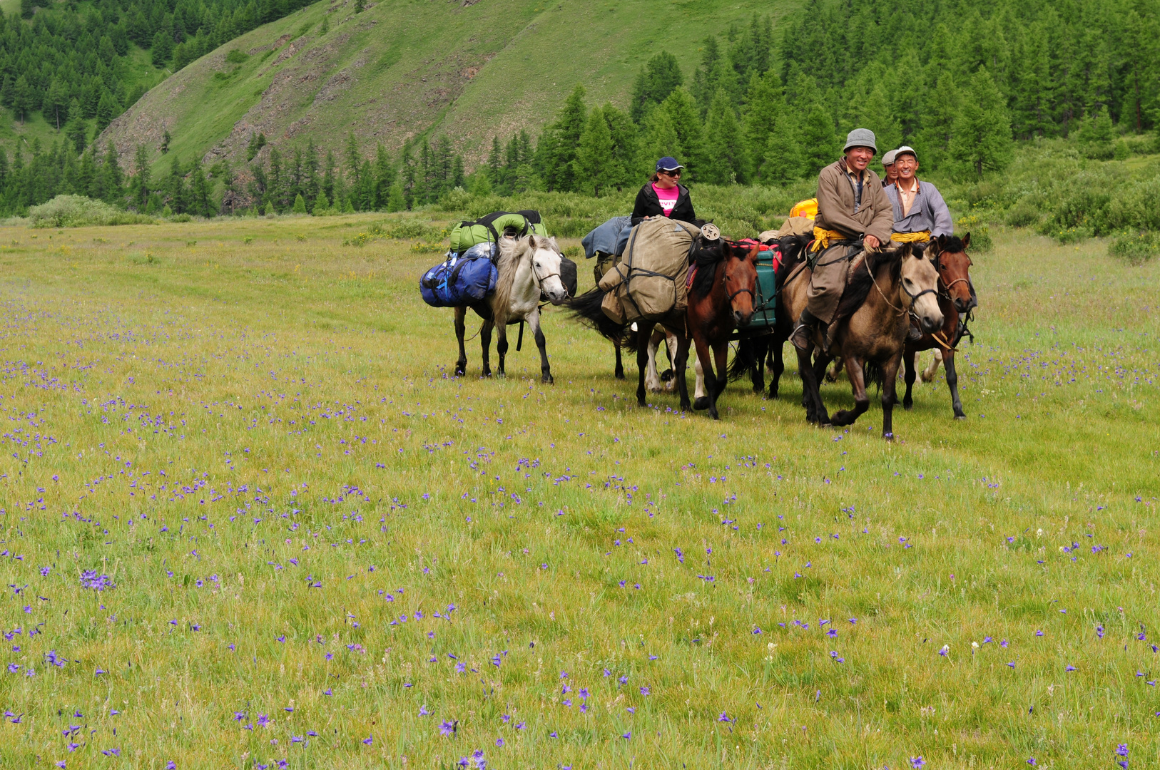 Die Mongolischen Reiter