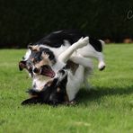 Die Monster sind wieder los!