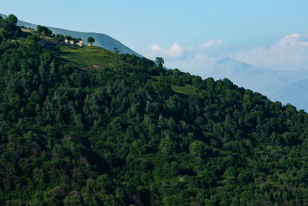 Die Monti Prati Foto & Bild italien, landschaft, lago di como Bilder