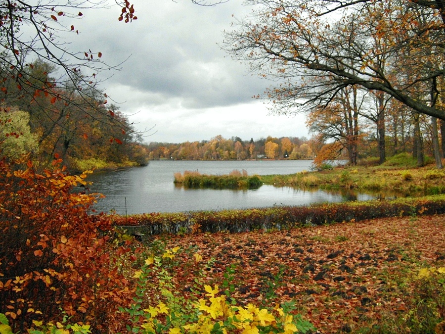 Die Moorlake im Herbst