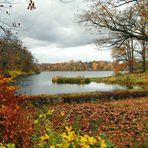 Die Moorlake im Herbst