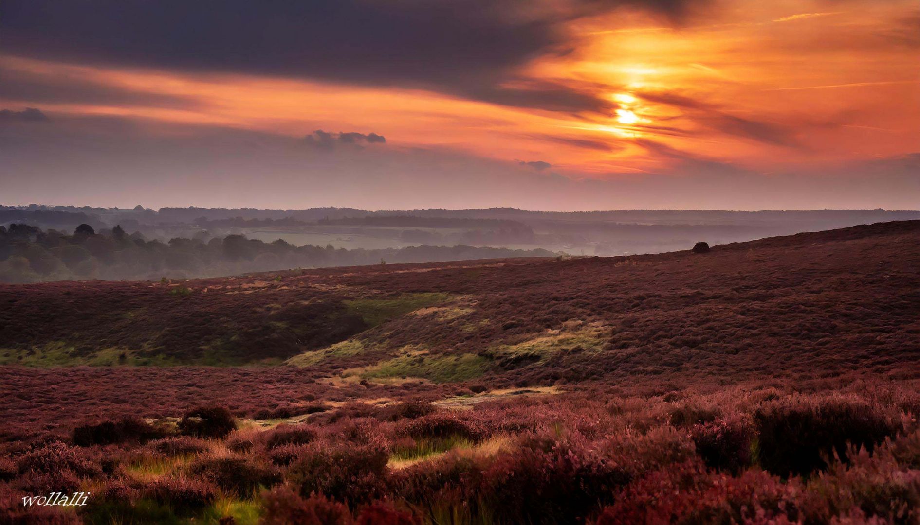 Die Moorlandschaft