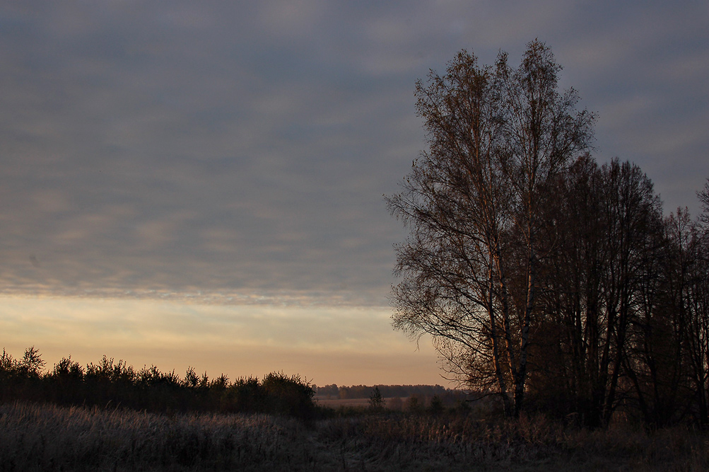 Die Morgendämmerung.