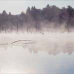 Die Morgennebel wallen