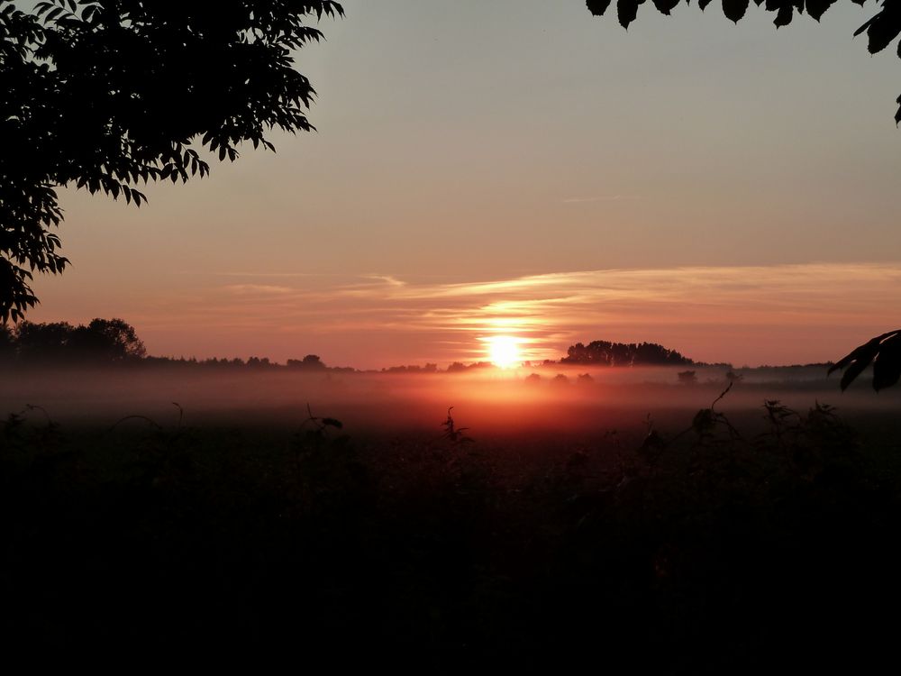 Morgenroete Morgenroete