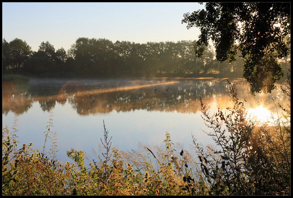 Die Morgensonne