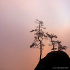 Die Morgensonne bricht durch den Nebel, Felsenburg Neurathen, 10/2020