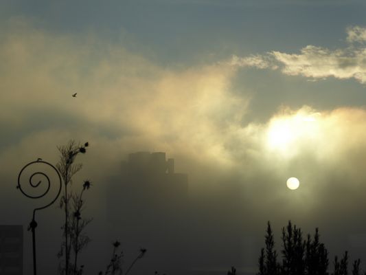 Die Morgensonne......