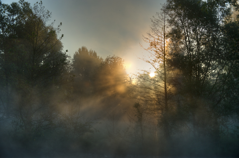 DIe Morgensonne dampf den Nebel weg