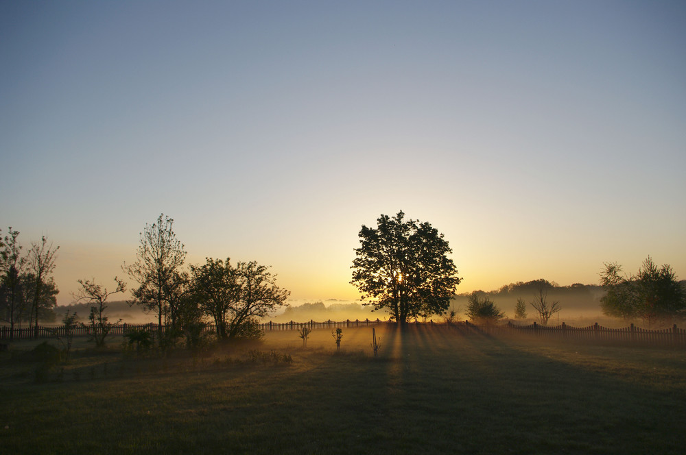 Die Morgensonne geht auf