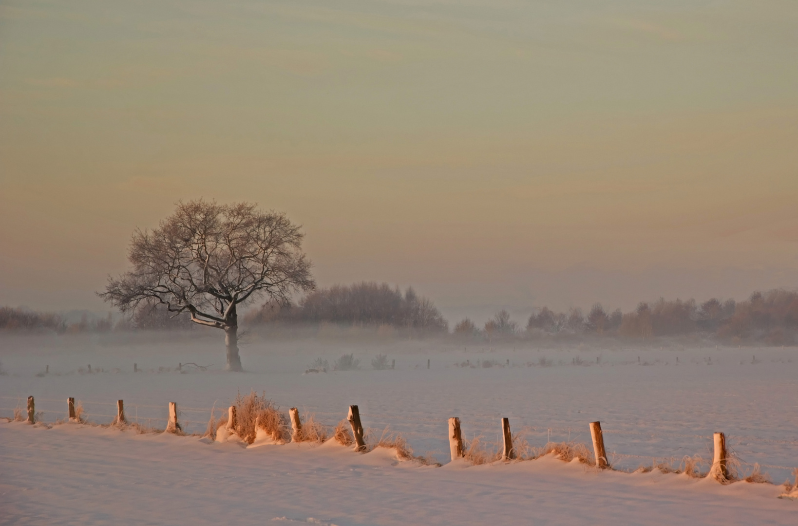 Die Morgensonne im Rücken