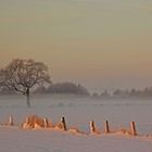 Die Morgensonne im Rücken