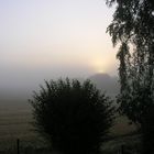 Die Morgensonne kocht den Nebel auf.