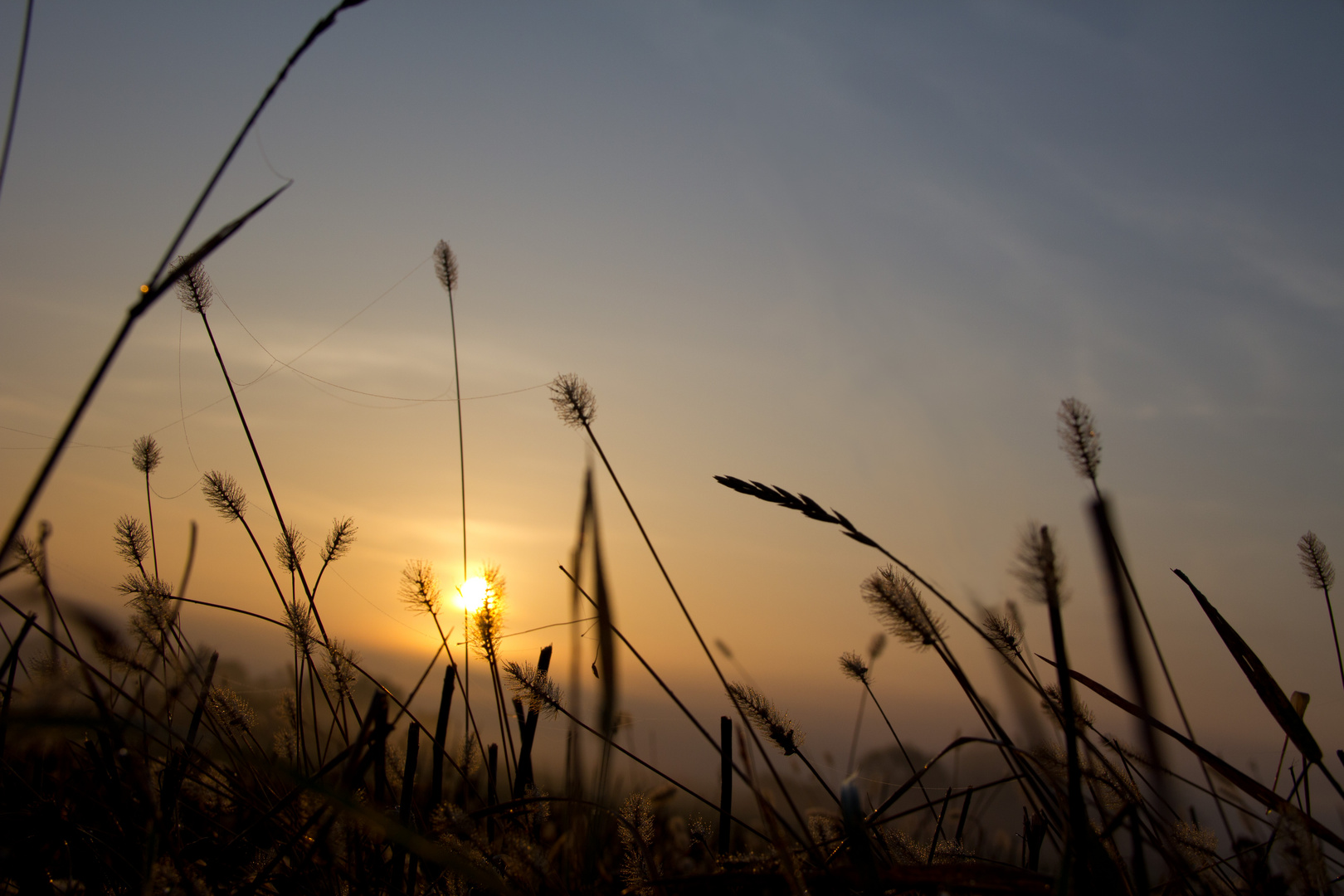 Die Morgensonne lächelt