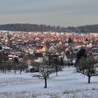 Die Morgensonne taucht alles in ein besonderes Licht