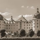 Die Moritzburg