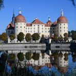 Die Moritzburg - D85_7576