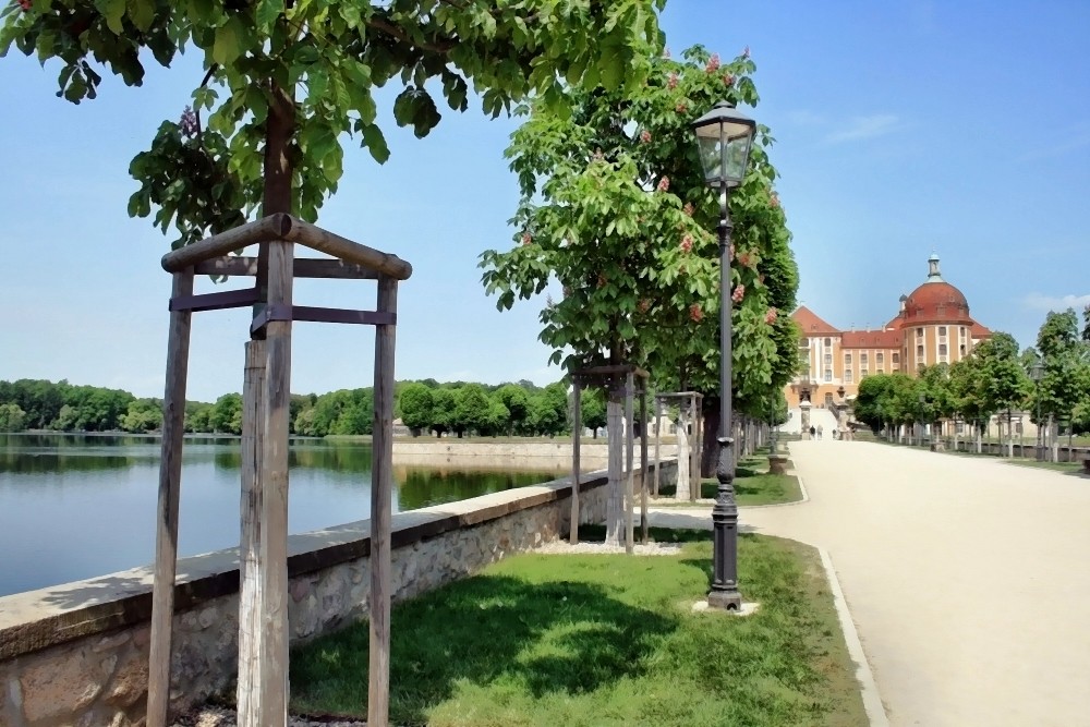 Die Moritzburg im Mai 2008