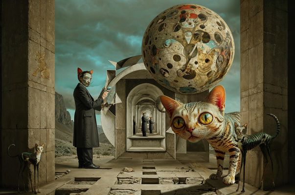 die morphologische katze