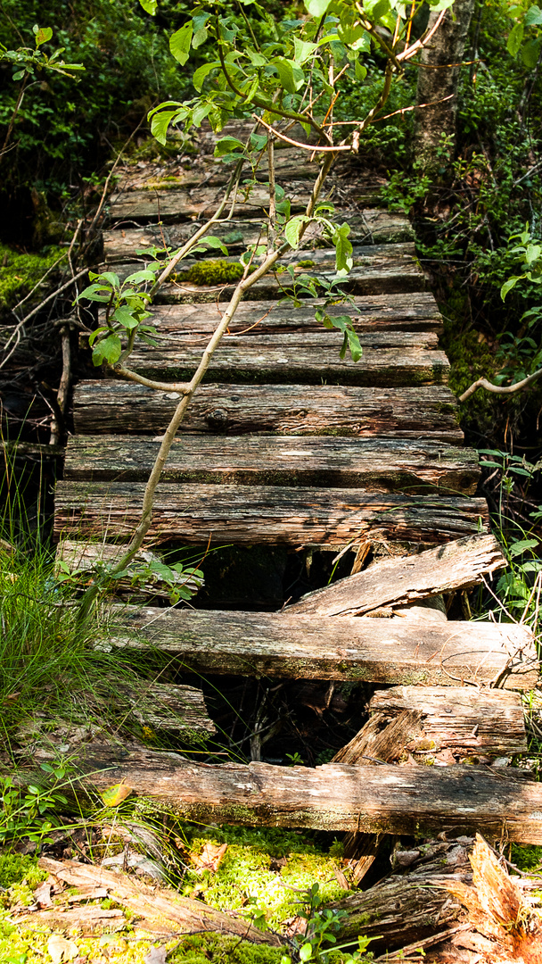 Die morsche Brücke