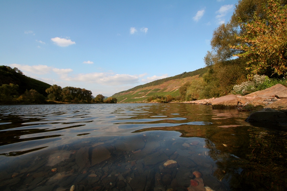 Die Mosel auf Augenhöhe!