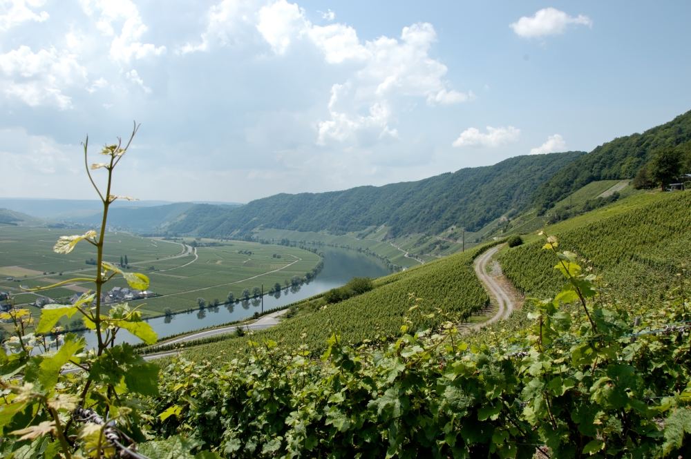 Die Mosel...