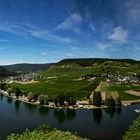 Die Mosel bei Beilstein 001