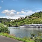 Die Mosel bei Cochem