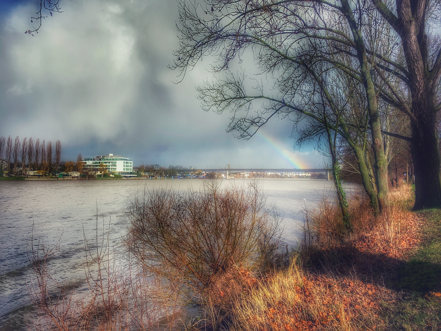 Die Mosel bei Koblenz 