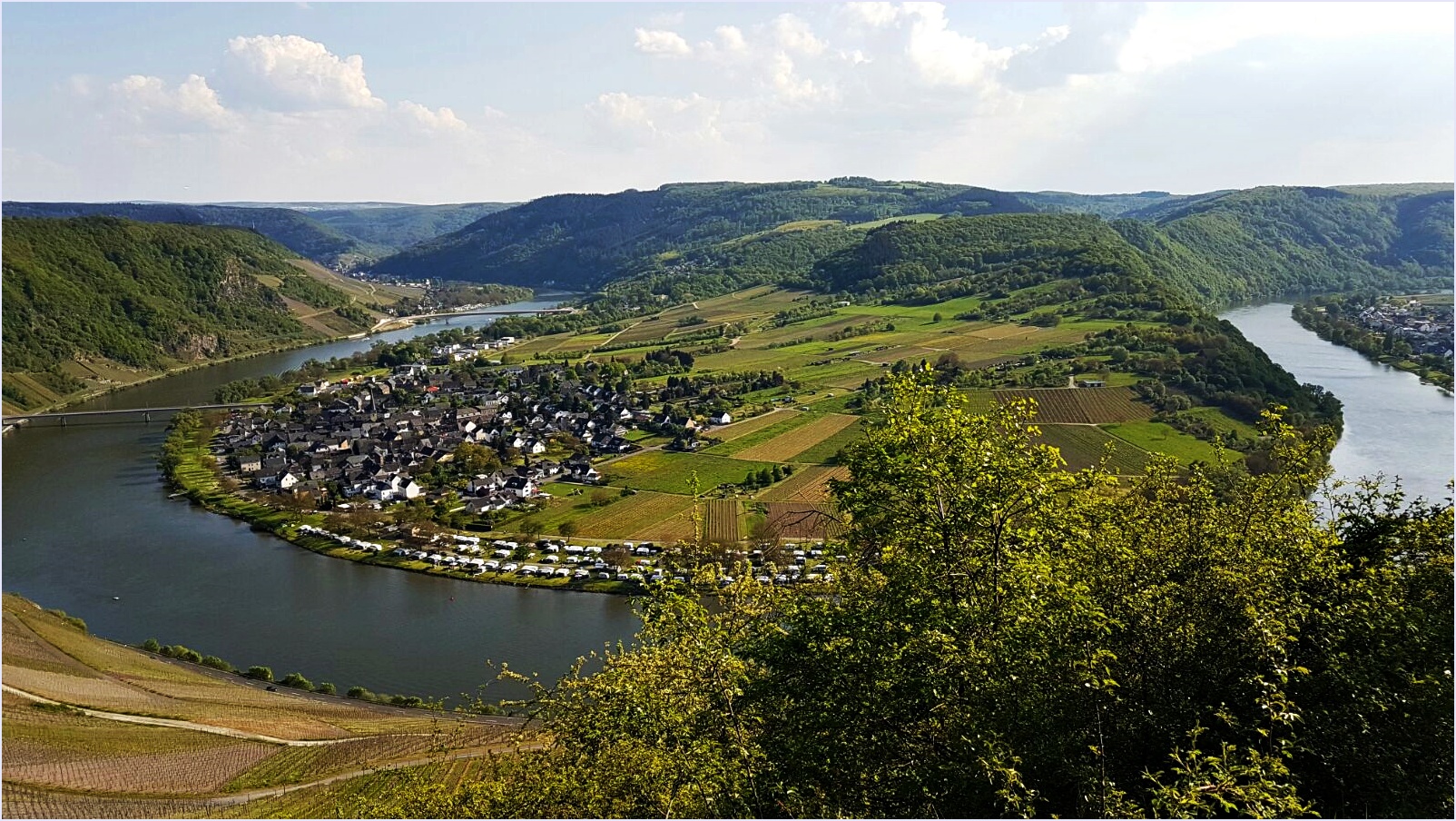 die Mosel bei Kröv