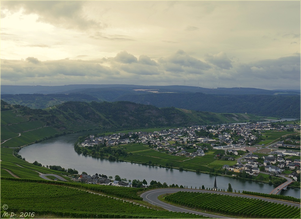 Die Mosel bei Piesport...