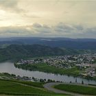 Die Mosel bei Piesport...