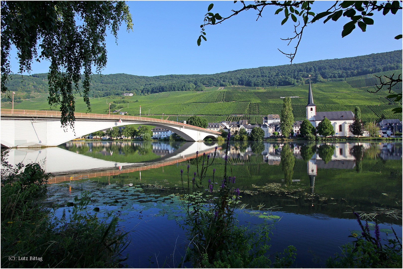 Die Mosel bei Piesport