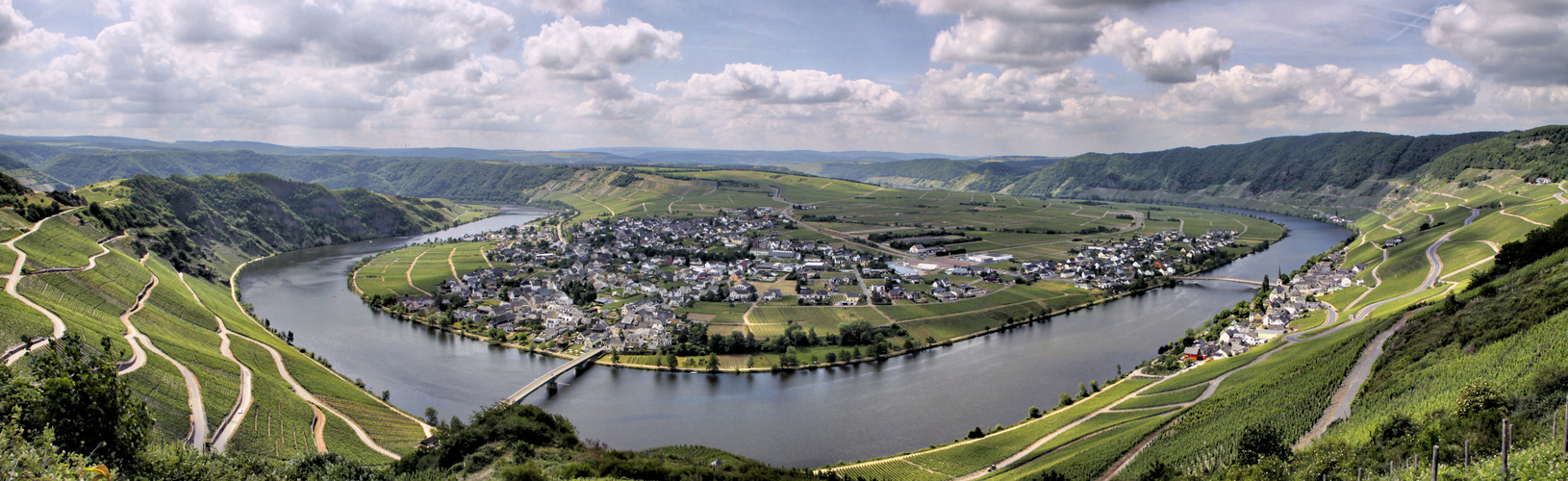 Die Mosel bei Piesport