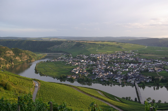 Die Mosel bei Piesport