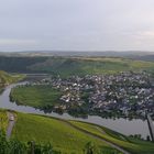 Die Mosel bei Piesport