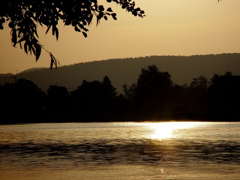 Die Mosel bei Trier