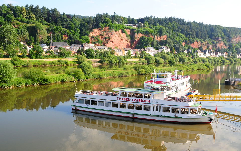 Die Mosel bei Trier-Pallien