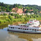 Die Mosel bei Trier-Pallien