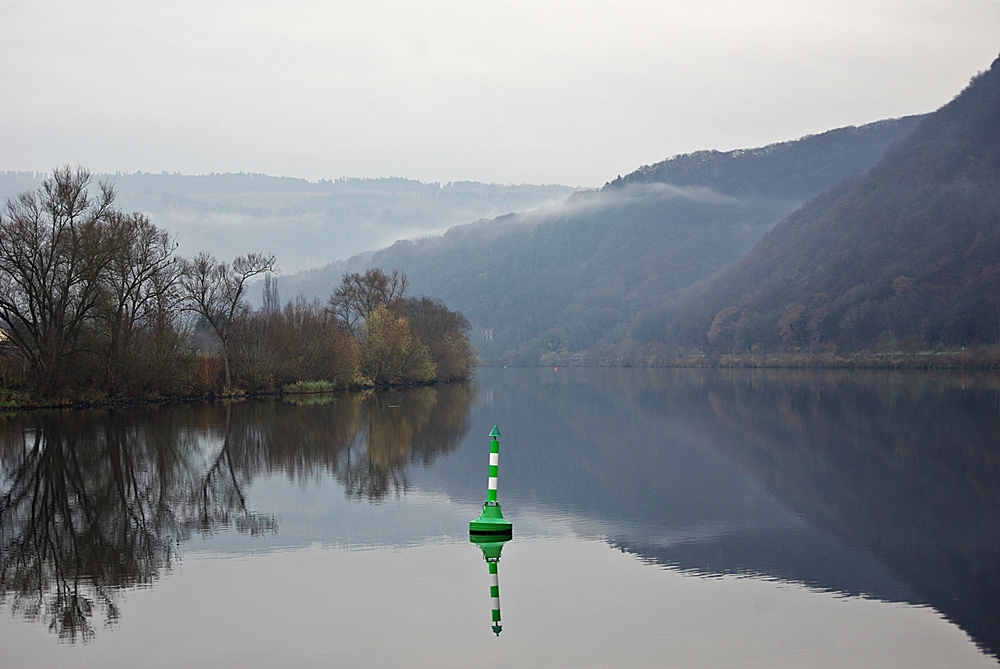 Die Mosel im Herbstkleid....