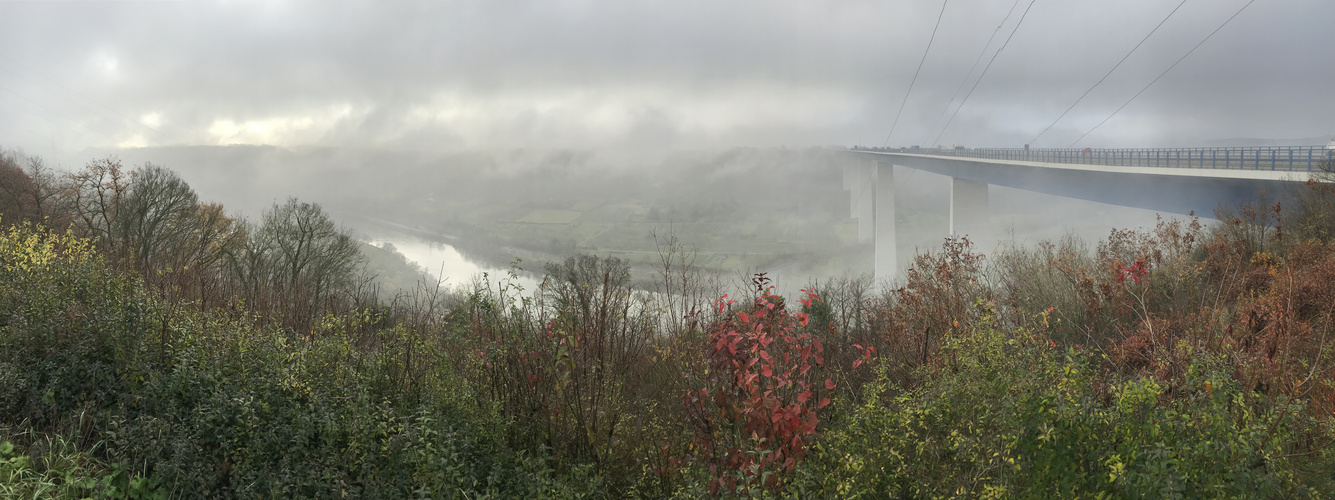 Die Mosel im Nebel 