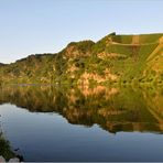 die Mosel-Loreley..