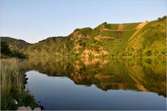 die Mosel-Loreley..