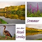 die Mosel-Loreley