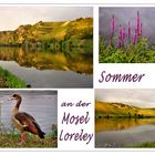 die Mosel-Loreley