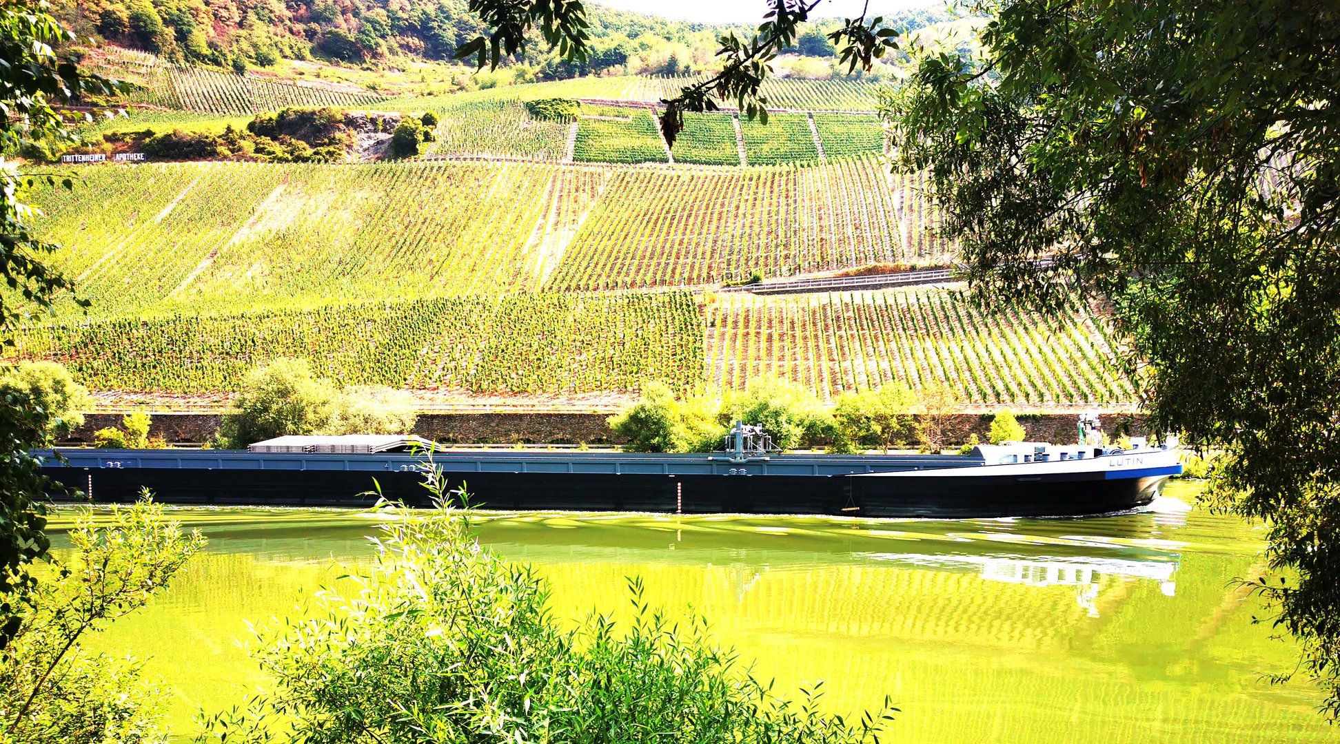 Die Mosel und ihre Weinlagen.